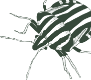 Total Home Care Pest Control
