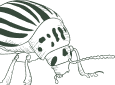 Total Home Care Pest Control